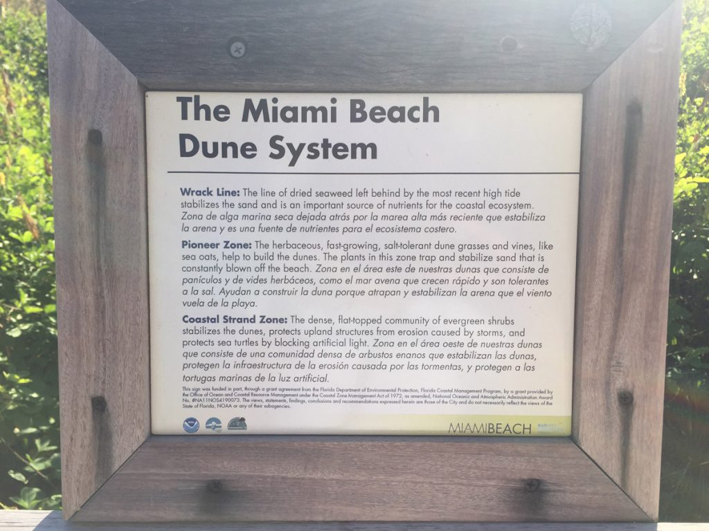 miami-beach-dunes-1